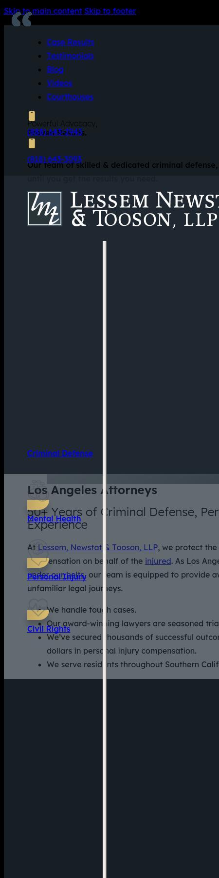Lessem, Newstat & Tooson, LLP - Los Angeles CA Lawyers